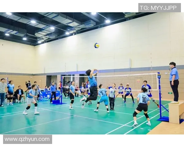 杭州排球队荣登全国排球比赛经验排行榜第五名的背后故事