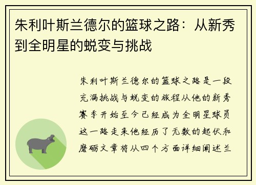 朱利叶斯兰德尔的篮球之路：从新秀到全明星的蜕变与挑战